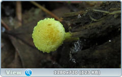 0_1092d4_7d2ab23c_orig.png