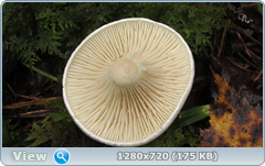 0_1105d3_eac7820f_orig.png