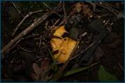 0_d236a_7c2e5db0_orig.jpg