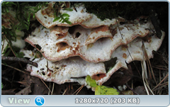 0_fc3dc_9770c07e_orig.png