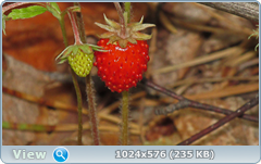 0_e785b_3b6945d5_orig.png
