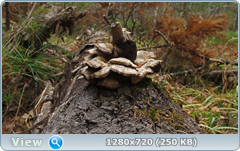 0_f4d7e_8833b152_orig.png