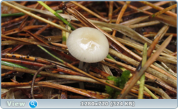 0_e38cc_2a9f8728_orig.png