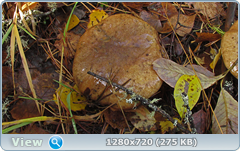 0_f272c_3eeb5509_orig.png