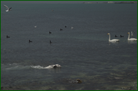 0_dde6b_d1576db6_orig.png