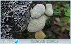 0_f383c_86d5a6f3_orig.png