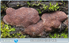 0_fb6b2_e77e5858_orig.png