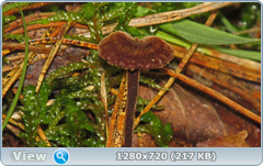 0_eaffd_87e35a16_orig.png