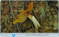 0_ec09f_225ad025_orig.png