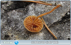 0_f30d5_6d10aee3_orig.png