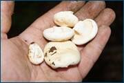 0_d2432_5699dde6_orig.jpg