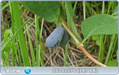 0_e7867_19ff9542_orig.png