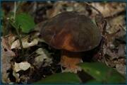 0_d1ec9_3a5280fd_orig.jpg