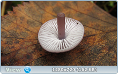 0_f27cc_4429ae0b_orig.png