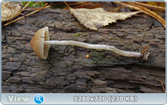 0_f303f_c8499316_orig.png