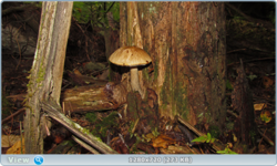 0_fb803_a688074d_orig.png