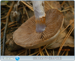 0_f01e6_42bfc31e_orig.png