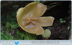 0_e94c6_d9f75bdd_orig.png