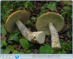 0_eafb9_45ca54b1_orig.png