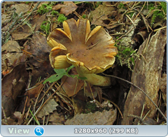 0_eb026_5a31b67a_orig.png