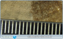 0_e9b37_840bc096_orig.png