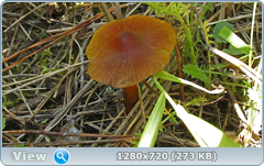 0_eab83_94c43789_orig.png