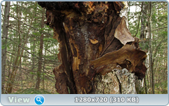 0_f6e32_986fd285_orig.png