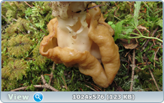 0_fb694_3c5d1acf_orig.png