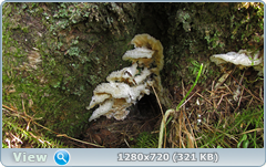 0_fc3e2_bc75cf88_orig.png