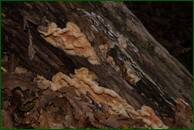 0_ef68d_35ed6ee9_orig.jpg