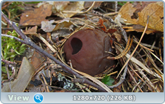 0_10414f_a04997d3_orig.png