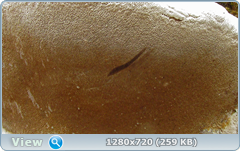 0_103e2f_9e304549_orig.png