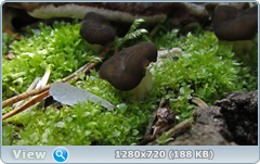 0_105548_3dea2a79_orig.png