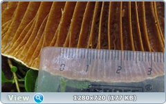 0_10d428_26ebb1ab_orig.png