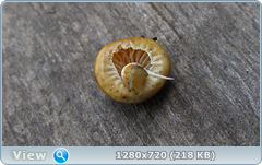 0_109343_8ea31775_orig.png