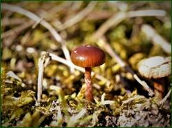 0_13c635_4b1c81cb_orig.jpg