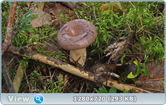 0_10f2a2_658e80e2_orig.png