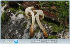 0_10f2b1_8a73f6c7_orig.png