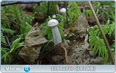 0_112a05_82bb99e9_orig.png