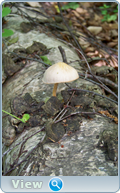 0_102bca_2bb806c3_orig.png