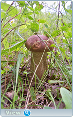 0_102d94_e551b2ef_orig.png