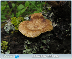 0_fc434_1ea62730_orig.png