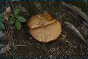 0_d096a_112643f6_orig.jpg