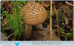 0_eab41_11c5286f_orig.png
