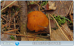 0_f3e36_4a76ede8_orig.png