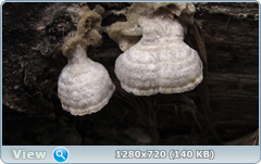 0_f6de4_66e48c7b_orig.png