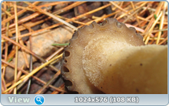 0_fb6a2_4edcba52_orig.png