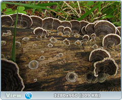 0_eb03a_50f92f40_orig.png