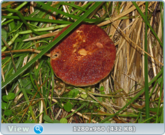 0_eb1ea_952ce2d6_orig.png