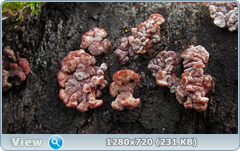 0_f561b_a585c313_orig.png